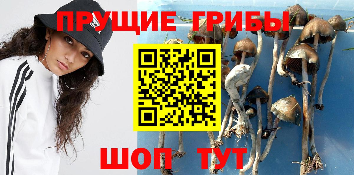 закладка  Вход с VPN  Кумертау  Галлюциногенные грибы мухоморы 